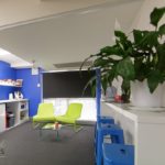 Office-Design-North-Sydney-499