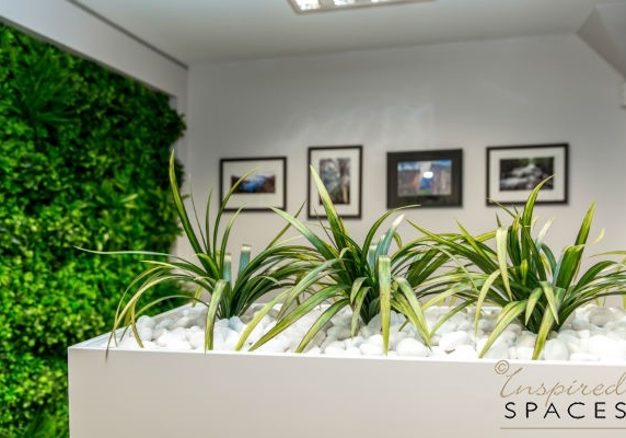 Greenery added in office space