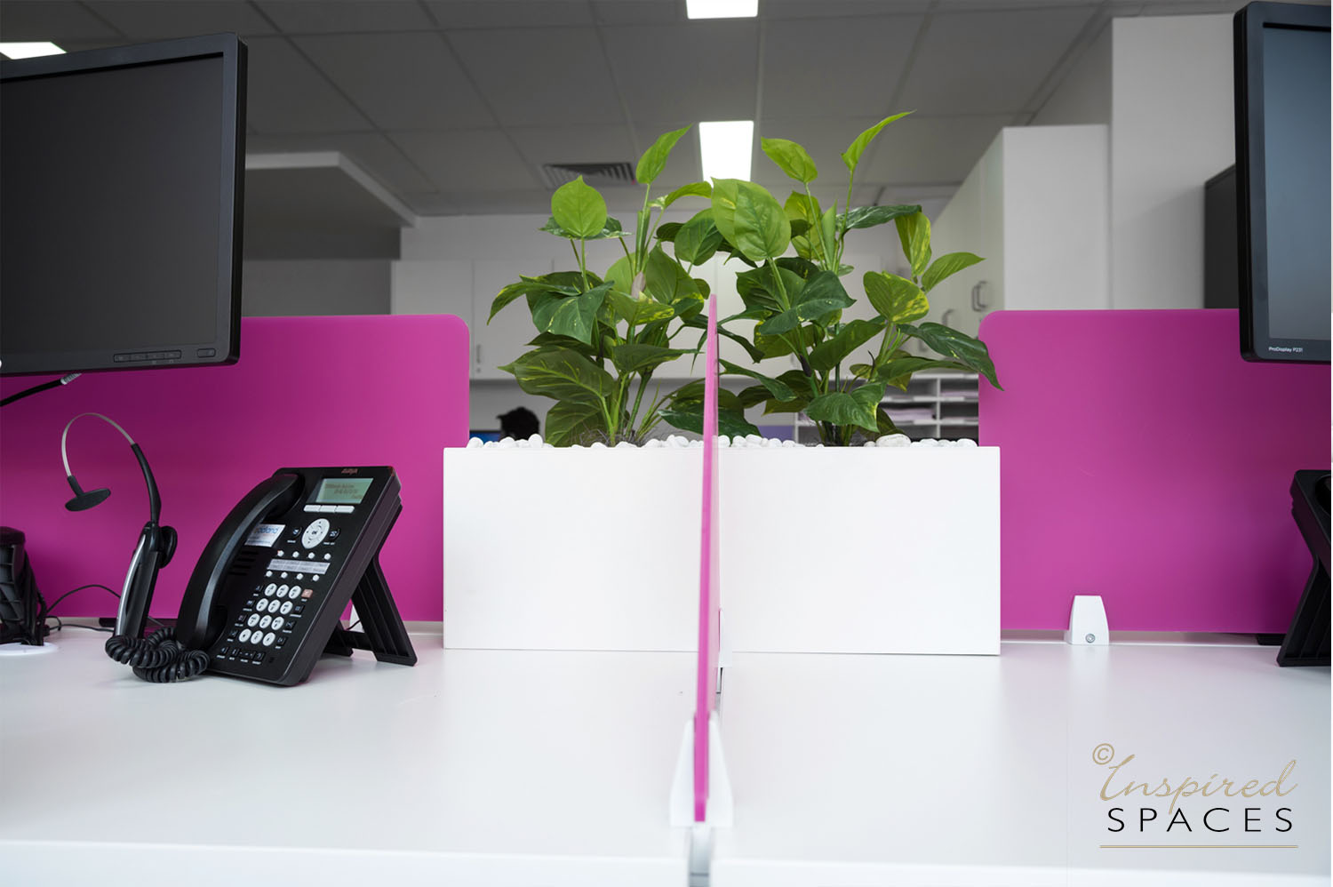 The green foliage compliments the white desk with pops of pink 