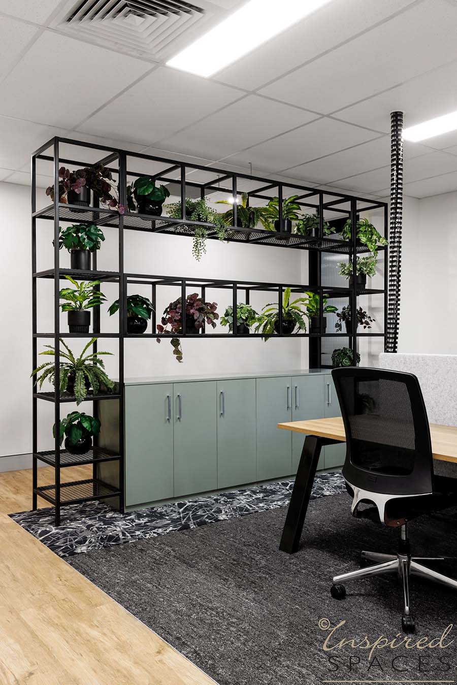 A variety of greenery to create a biophilic office design screen